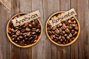 Perbedaan Kopi Arabika dan Robusta